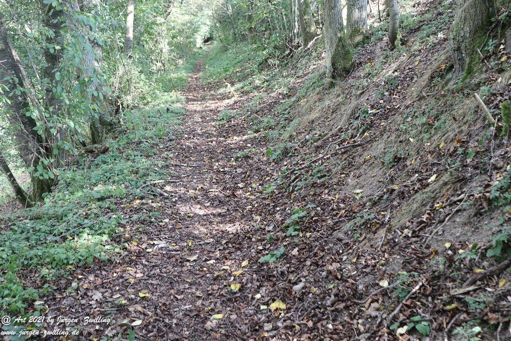 Philosophische Bildwanderung Vitaltour Um die Wüstung - Bockenauer Schweiz - Soonwald - Nahe