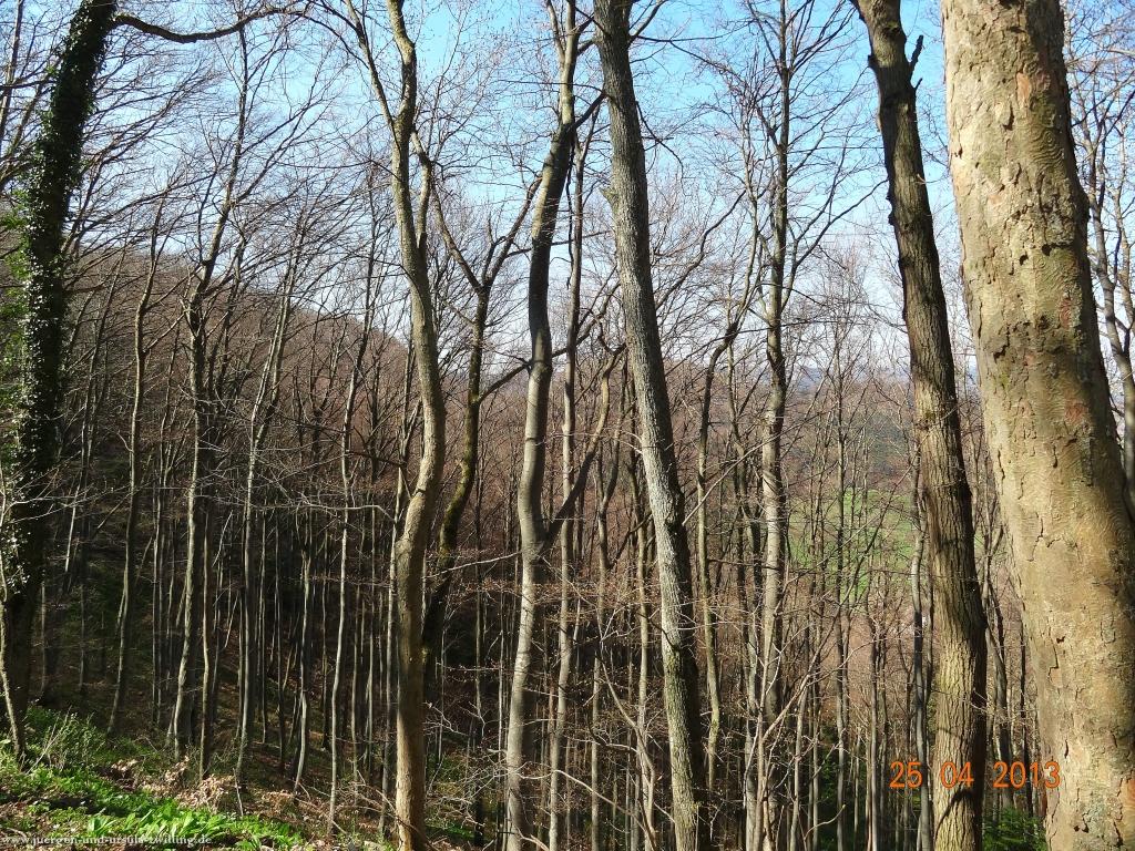 Philosophische Bildwanderung Traufgang-Felsenmeersteig