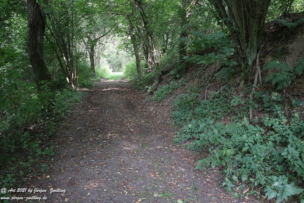 Philosophische Bildwanderung Vitaltour Um die Wüstung - Bockenauer Schweiz - Soonwald - Nahe
