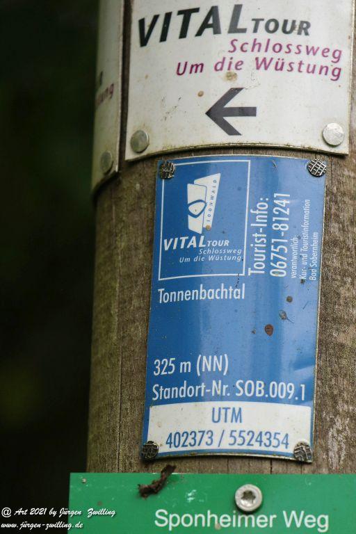 Philosophische Bildwanderung Vitaltour Um die Wüstung - Bockenauer Schweiz - Soonwald - Nahe