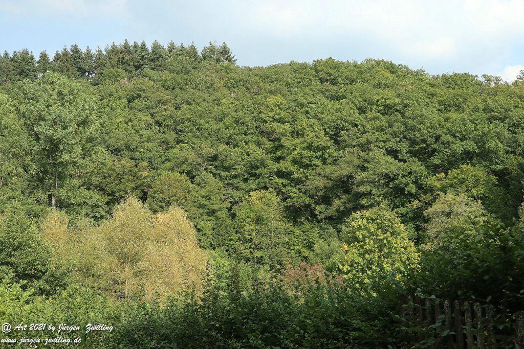 Philosophische Bildwanderung Vitaltour Um die Wüstung - Bockenauer Schweiz - Soonwald - Nahe
