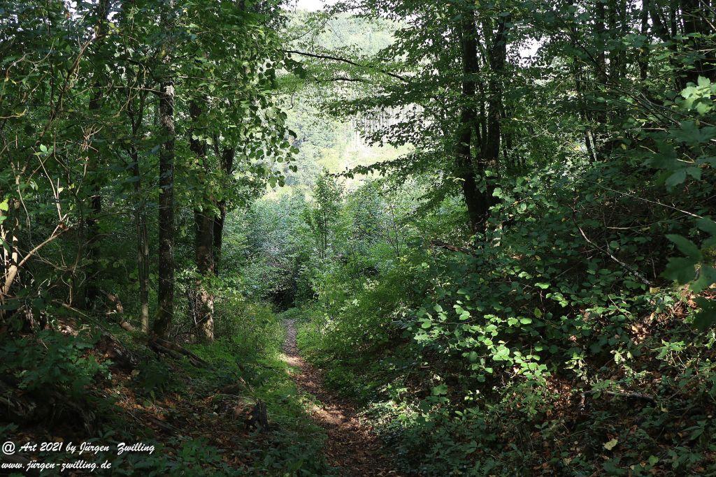 Philosophische Bildwanderung Vitaltour Um die Wüstung - Bockenauer Schweiz - Soonwald - Nahe