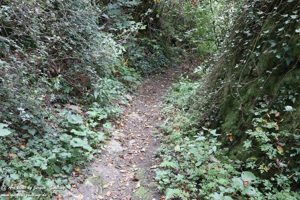 Philosophische Bildwanderung Vitaltour Um die Wüstung - Bockenauer Schweiz - Soonwald - Nahe