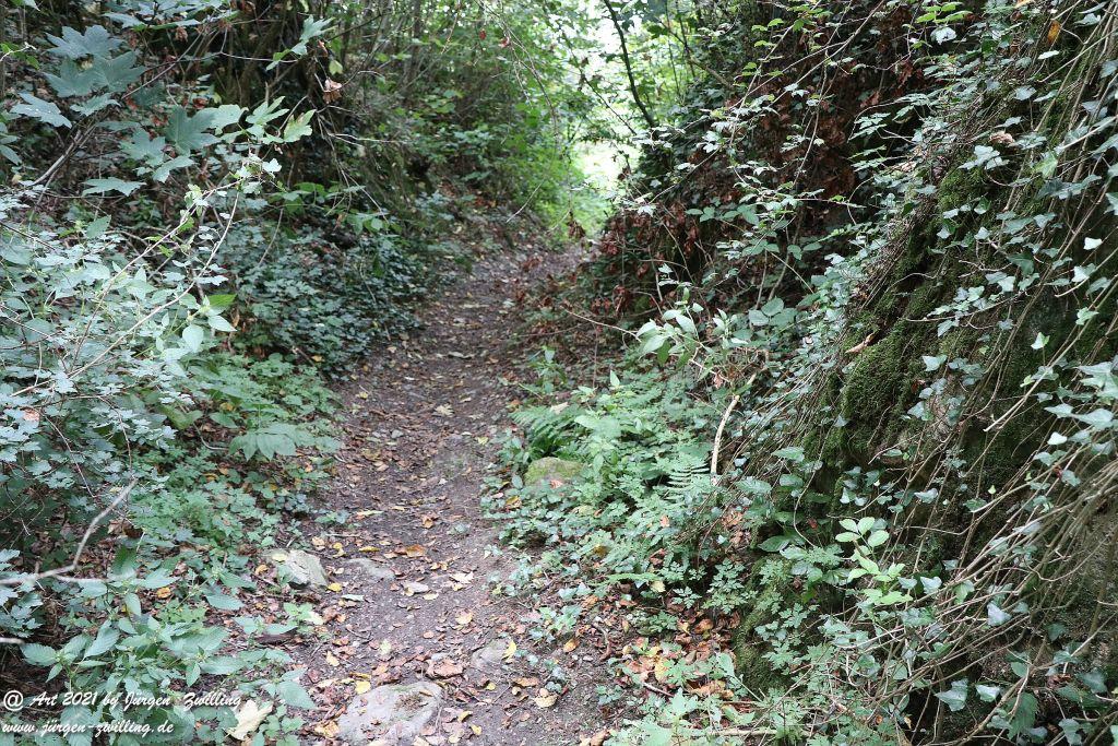 Philosophische Bildwanderung Vitaltour Um die Wüstung - Bockenauer Schweiz - Soonwald - Nahe