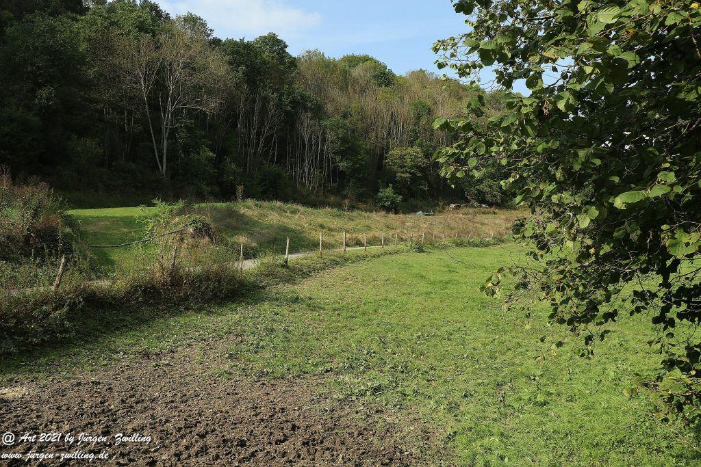 Philosophische Bildwanderung Vitaltour Um die Wüstung - Bockenauer Schweiz - Soonwald - Nahe