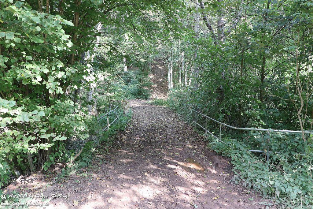 Philosophische Bildwanderung Vitaltour Um die Wüstung - Bockenauer Schweiz - Soonwald - Nahe