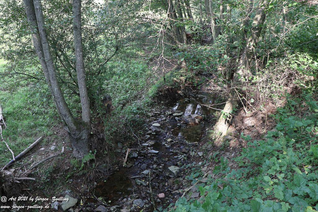 Philosophische Bildwanderung Vitaltour Um die Wüstung - Bockenauer Schweiz - Soonwald - Nahe