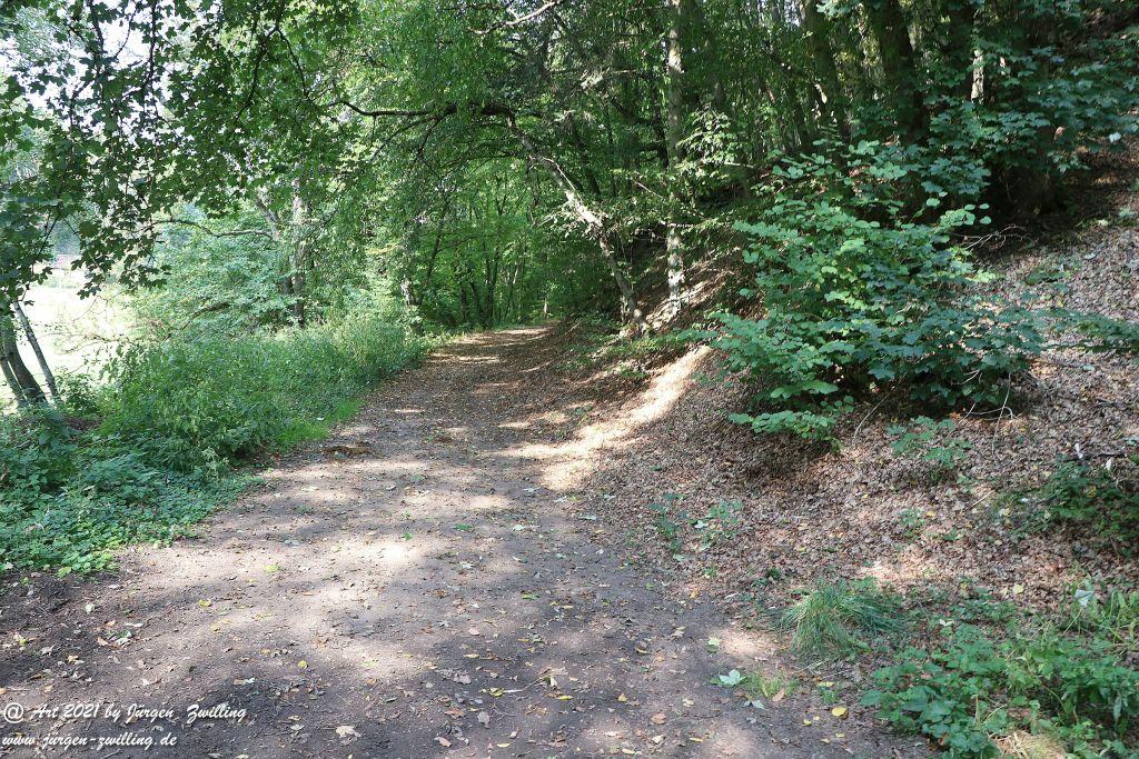 Philosophische Bildwanderung Vitaltour Um die Wüstung - Bockenauer Schweiz - Soonwald - Nahe