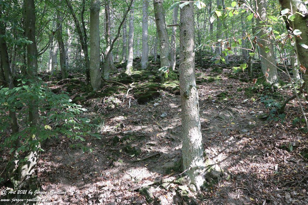 Philosophische Bildwanderung Vitaltour Um die Wüstung - Bockenauer Schweiz - Soonwald - Nahe