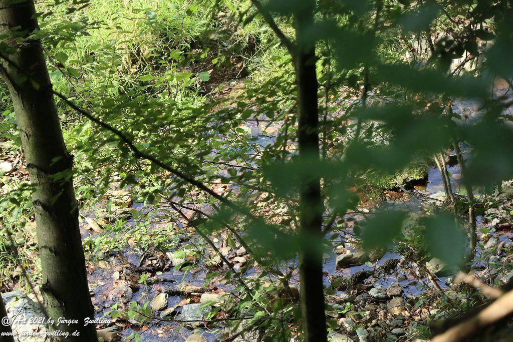 Philosophische Bildwanderung Vitaltour Um die Wüstung - Bockenauer Schweiz - Soonwald - Nahe