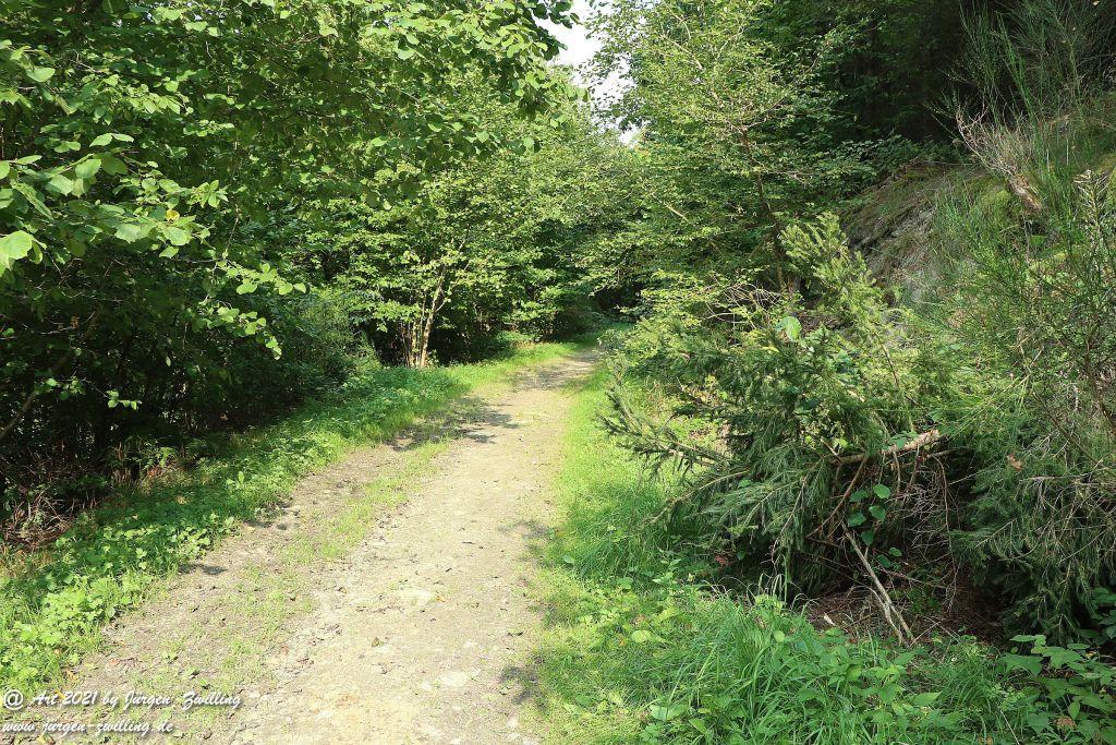 Philosophische Bildwanderung Vitaltour Um die Wüstung - Bockenauer Schweiz - Soonwald - Nahe