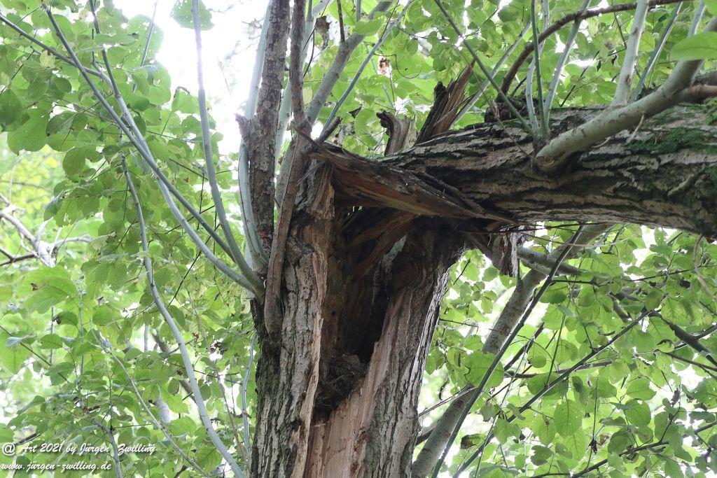 Philosophische Bildwanderung Vitaltour Um die Wüstung - Bockenauer Schweiz - Soonwald - Nahe