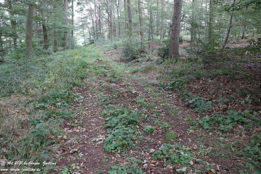 Philosophische Bildwanderung Vitaltour Um die Wüstung - Bockenauer Schweiz - Soonwald - Nahe