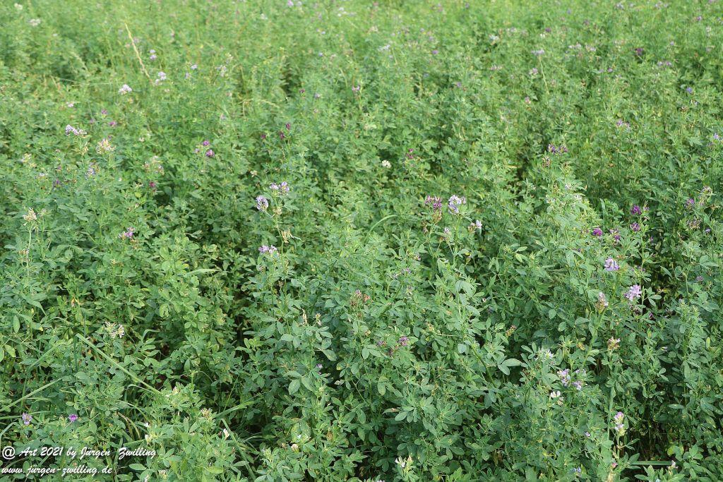Philosophische Bildwanderung Vitaltour Um die Wüstung - Bockenauer Schweiz - Soonwald - Nahe