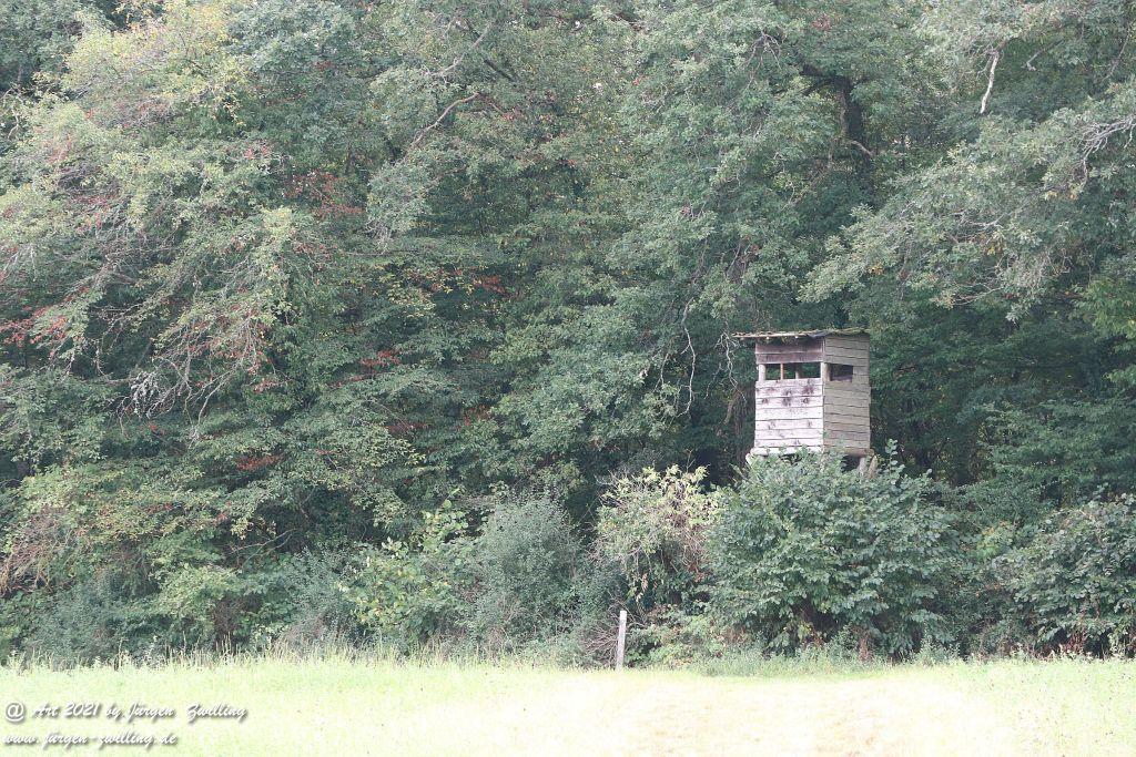 Philosophische Bildwanderung Vitaltour Um die Wüstung - Bockenauer Schweiz - Soonwald - Nahe