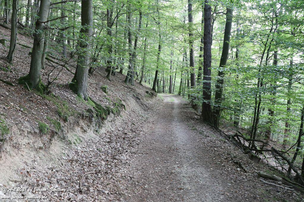 Philosophische Bildwanderung Vitaltour Um die Wüstung - Bockenauer Schweiz - Soonwald - Nahe