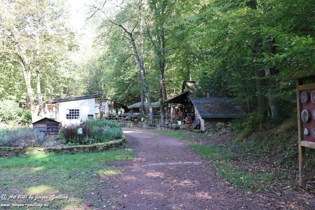 Philosophische Bildwanderung  Vitaltour Geheimnisvoller Lemberg Teil 1