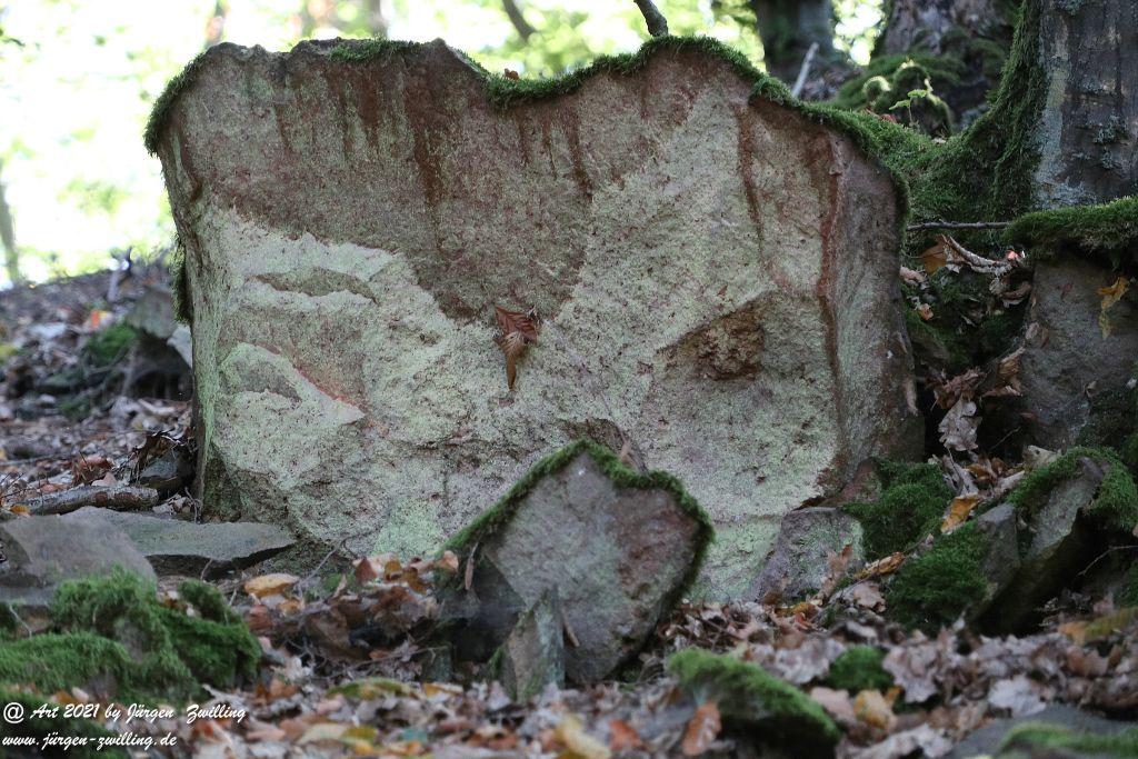 Philosophische Bildwanderung  Vitaltour Geheimnisvoller Lemberg Teil 1