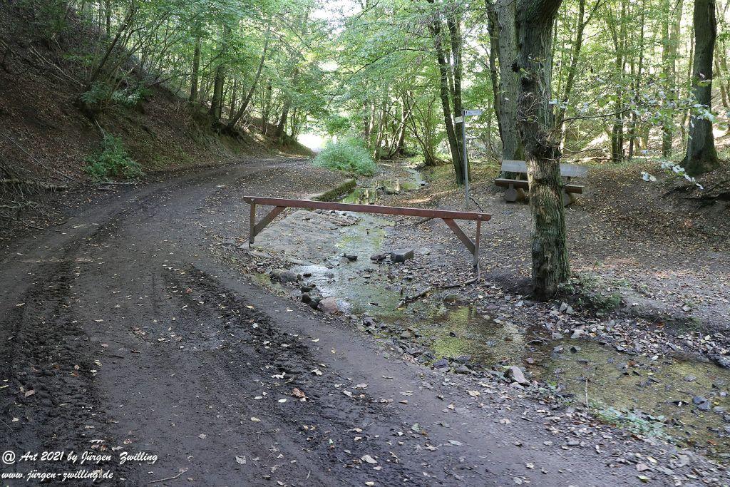 Philosophische Bildwanderung  Vitaltour Geheimnisvoller Lemberg Teil 1