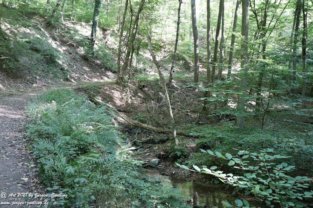 Philosophische Bildwanderung  Vitaltour Geheimnisvoller Lemberg Teil 1