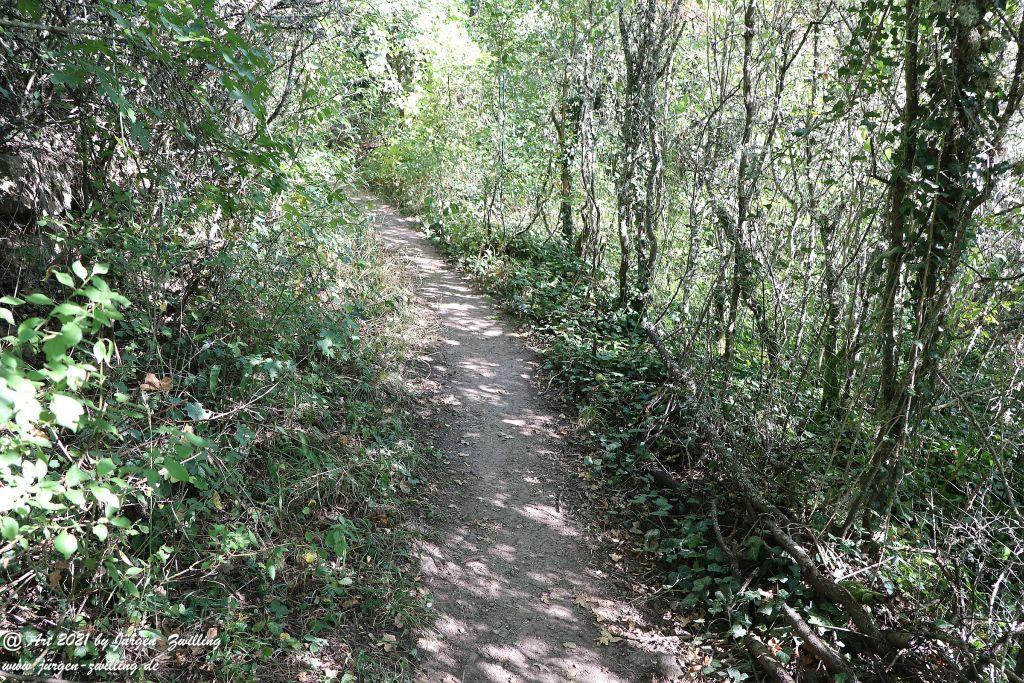 Philosophische Bildwanderung  Vitaltour Geheimnisvoller Lemberg Teil 1