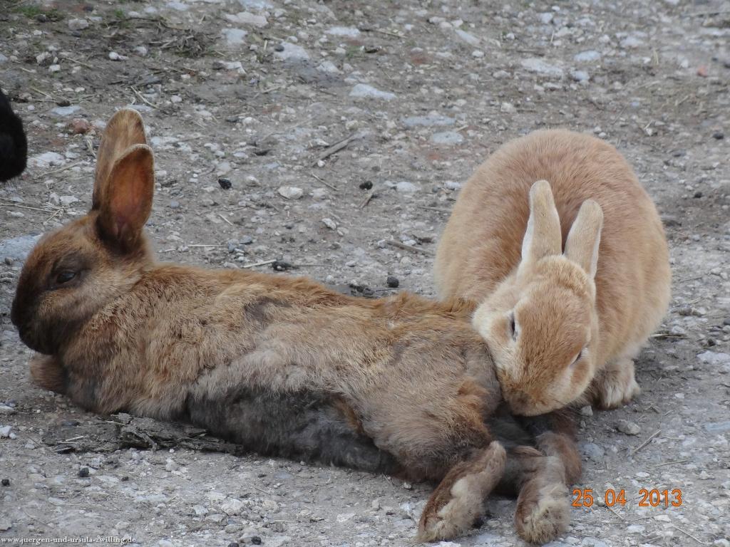 Philosophische Bildwanderung Traufgang-Felsenmeersteig