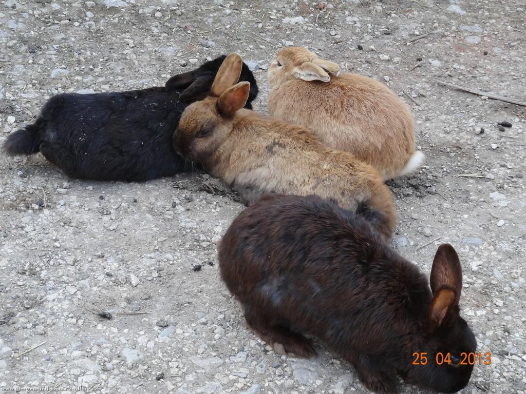 Philosophische Bildwanderung Traufgang-Felsenmeersteig