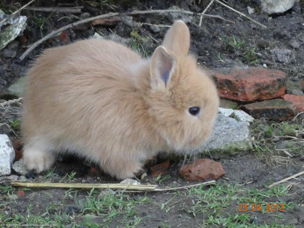 Philosophische Bildwanderung Traufgang-Felsenmeersteig