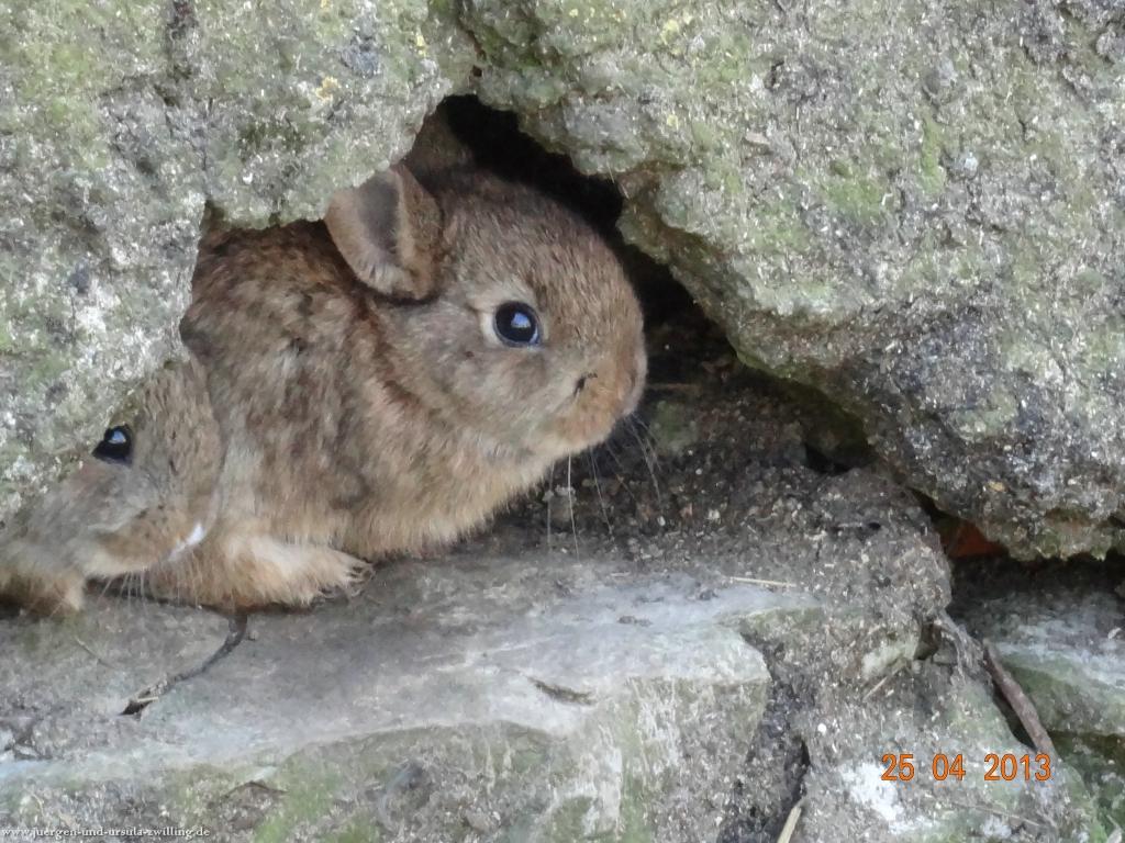 Philosophische Bildwanderung Traufgang-Felsenmeersteig