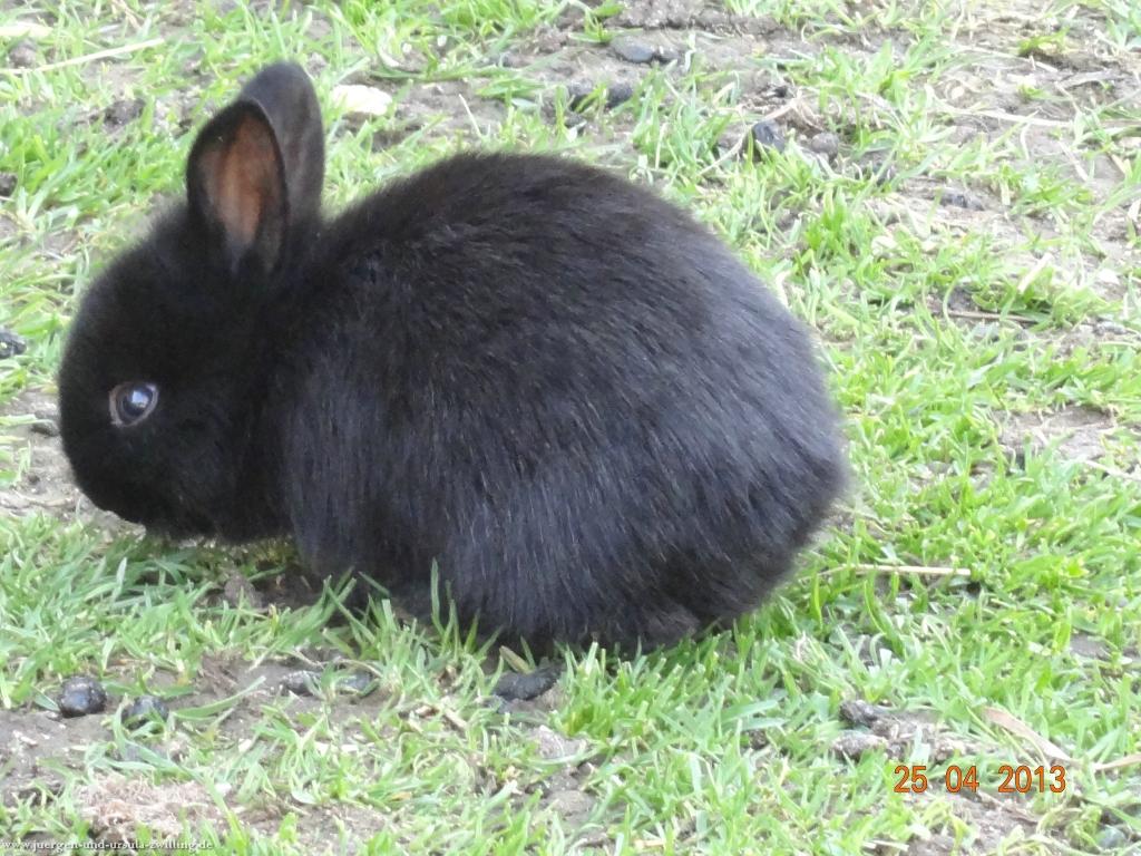 Philosophische Bildwanderung Traufgang-Felsenmeersteig