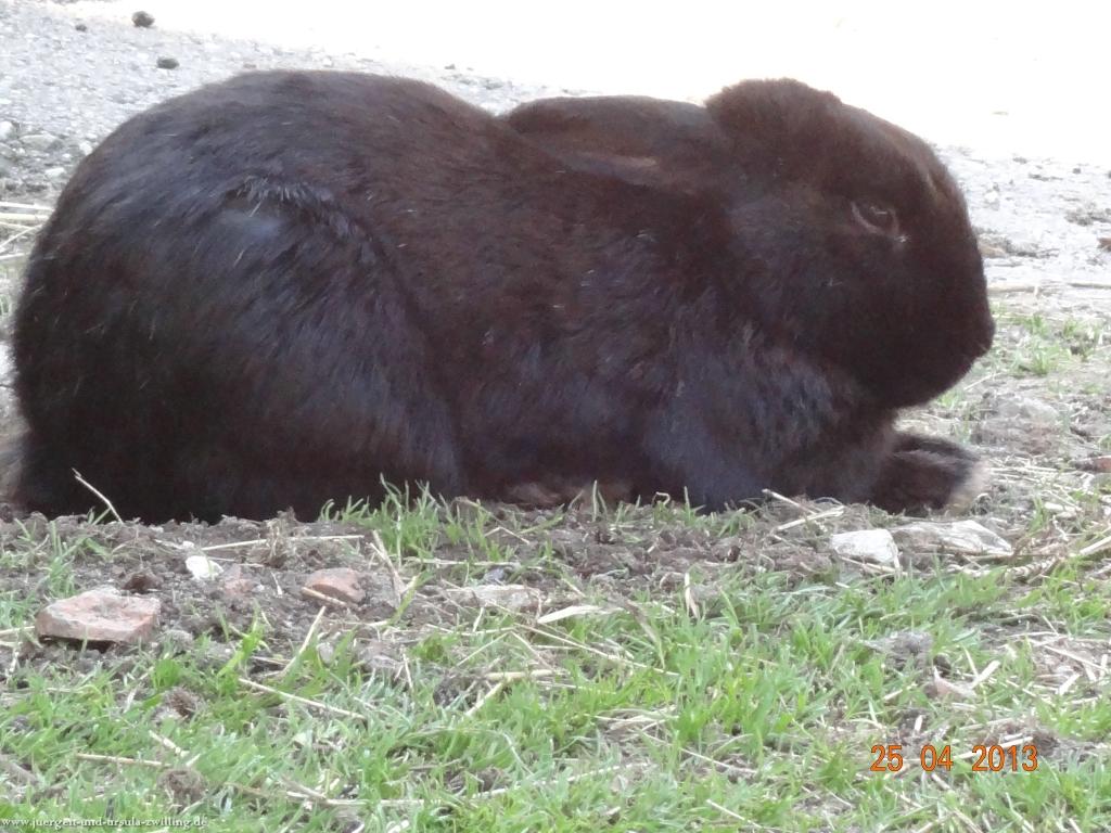 Philosophische Bildwanderung Traufgang-Felsenmeersteig