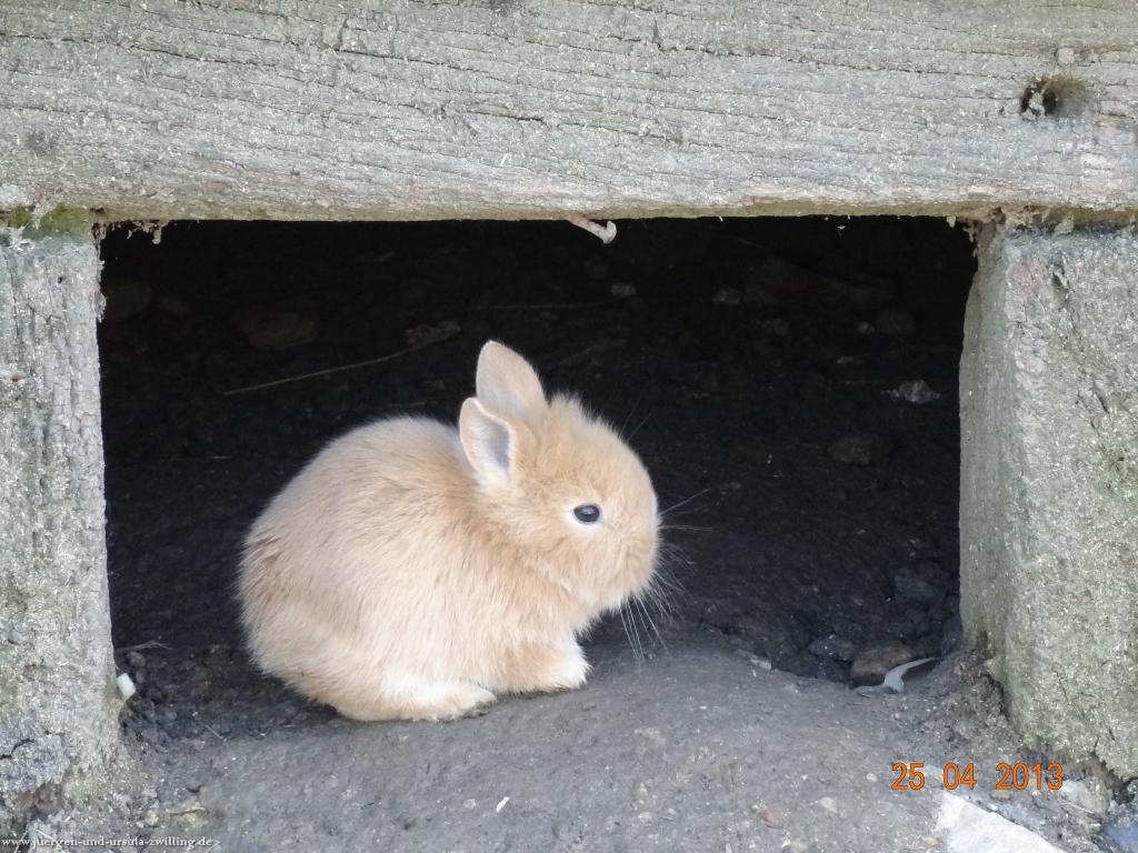 Philosophische Bildwanderung Traufgang-Felsenmeersteig