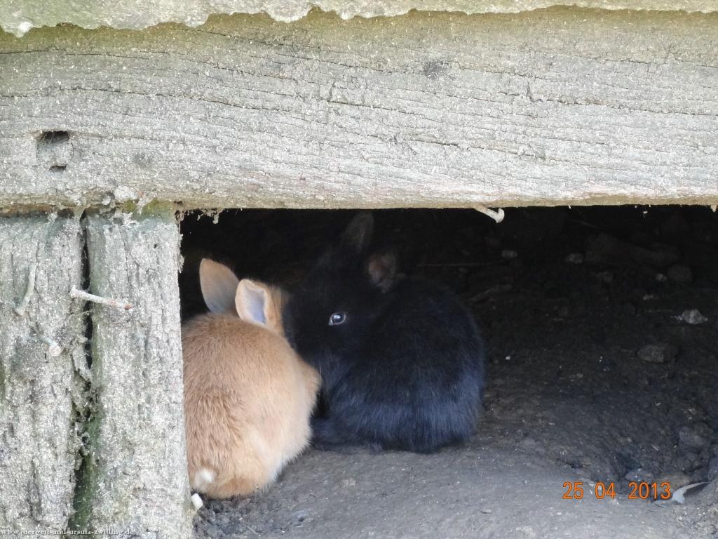 Philosophische Bildwanderung Traufgang-Felsenmeersteig