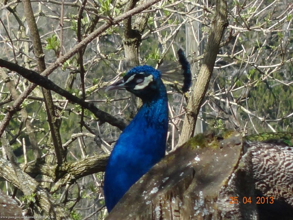 Philosophische Bildwanderung Traufgang-Felsenmeersteig