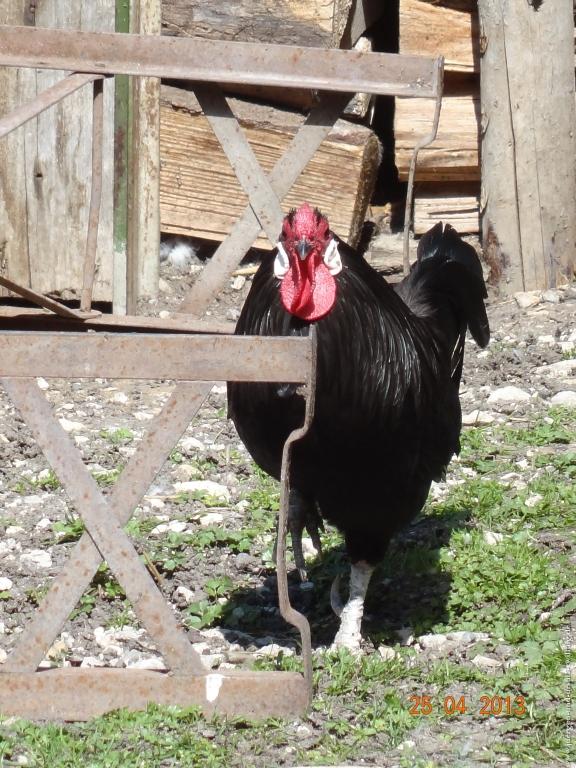 Philosophische Bildwanderung Traufgang-Felsenmeersteig