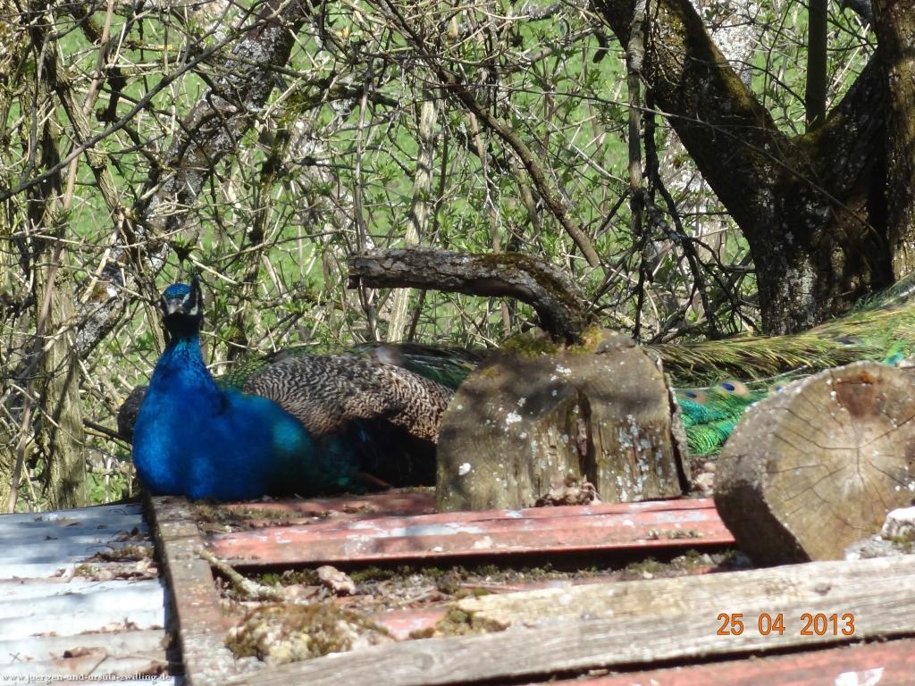 Philosophische Bildwanderung Traufgang-Felsenmeersteig