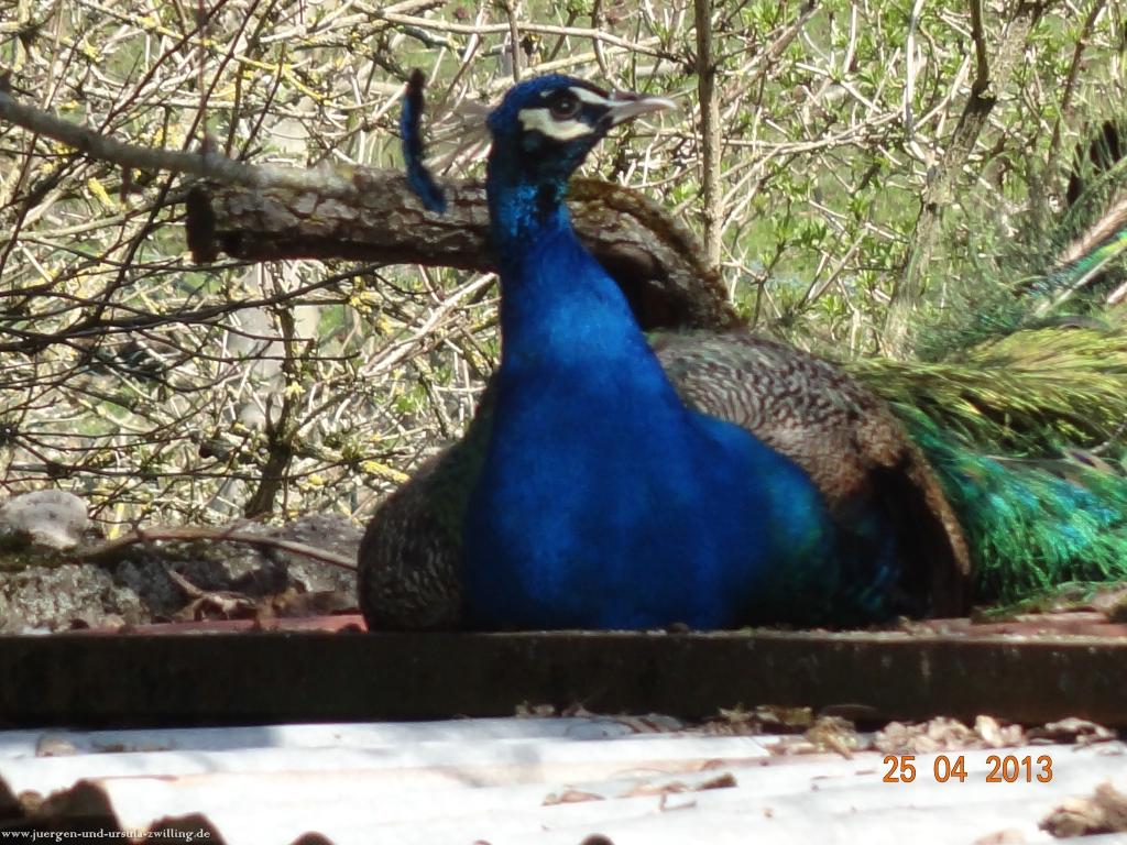 Philosophische Bildwanderung Traufgang-Felsenmeersteig