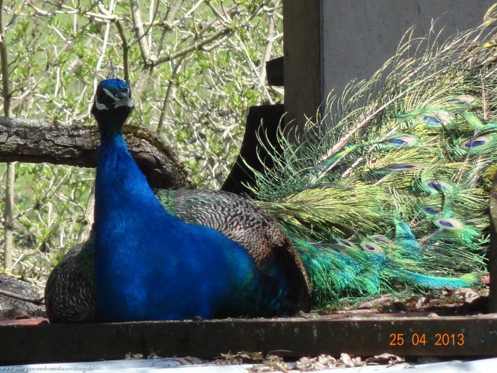 Philosophische Bildwanderung Traufgang-Felsenmeersteig