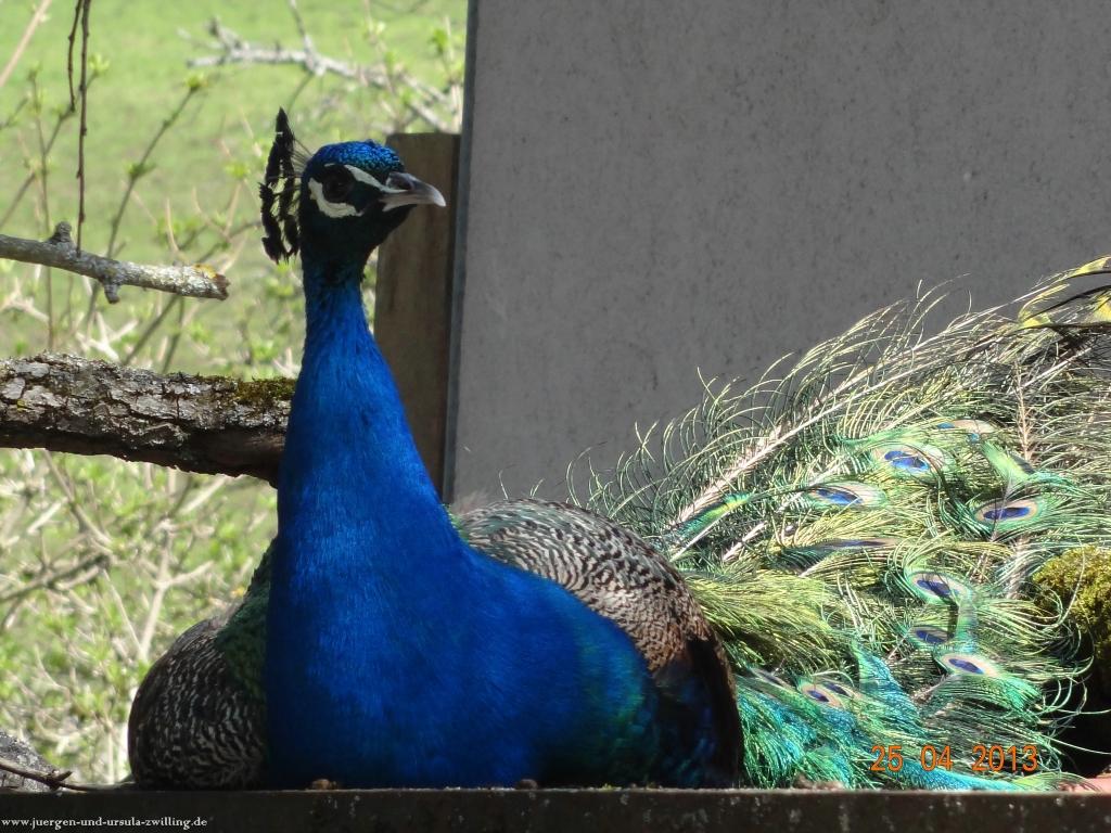 Philosophische Bildwanderung Traufgang-Felsenmeersteig