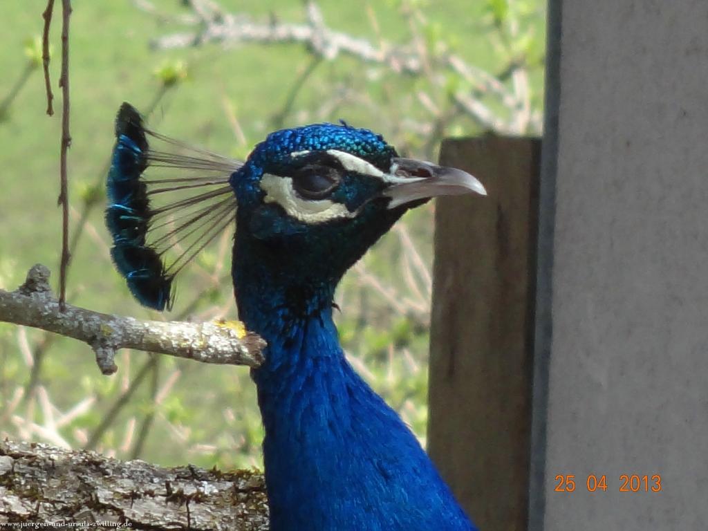 Philosophische Bildwanderung Traufgang-Felsenmeersteig