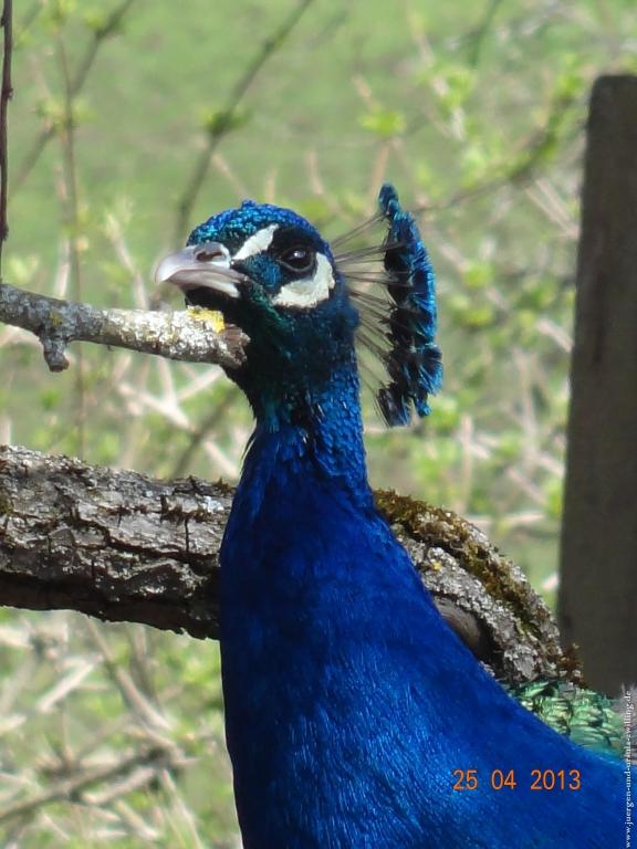 Philosophische Bildwanderung Traufgang-Felsenmeersteig
