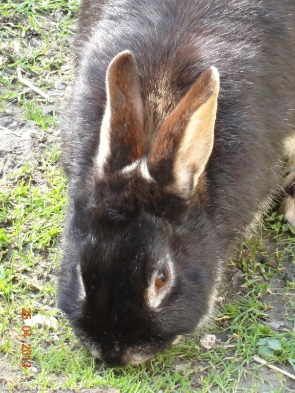 Philosophische Bildwanderung Traufgang-Felsenmeersteig