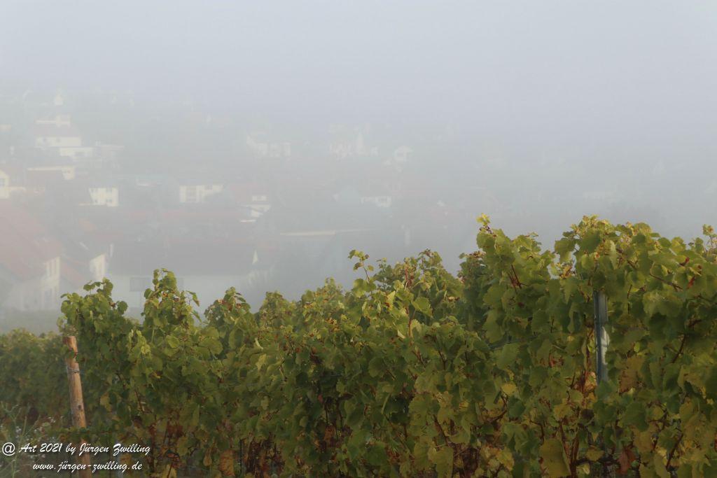 Nebel in den Weinberg von Hackenheim - Rheinhessen