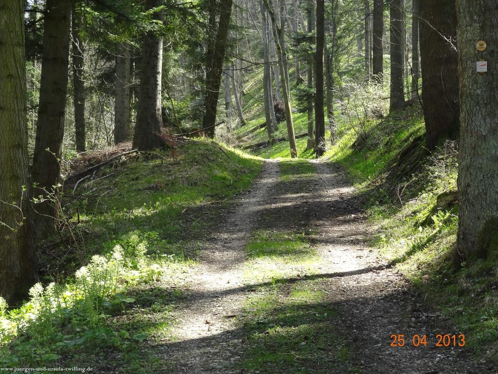 Philosophische Bildwanderung Traufgang-Felsenmeersteig