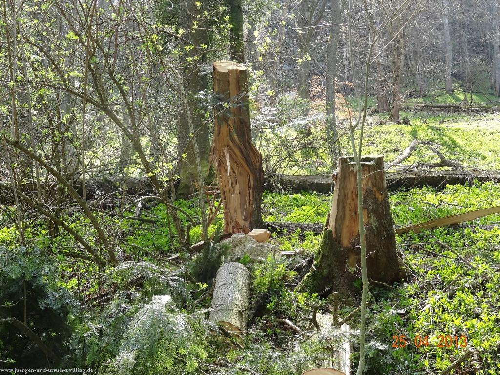 Philosophische Bildwanderung Traufgang-Felsenmeersteig