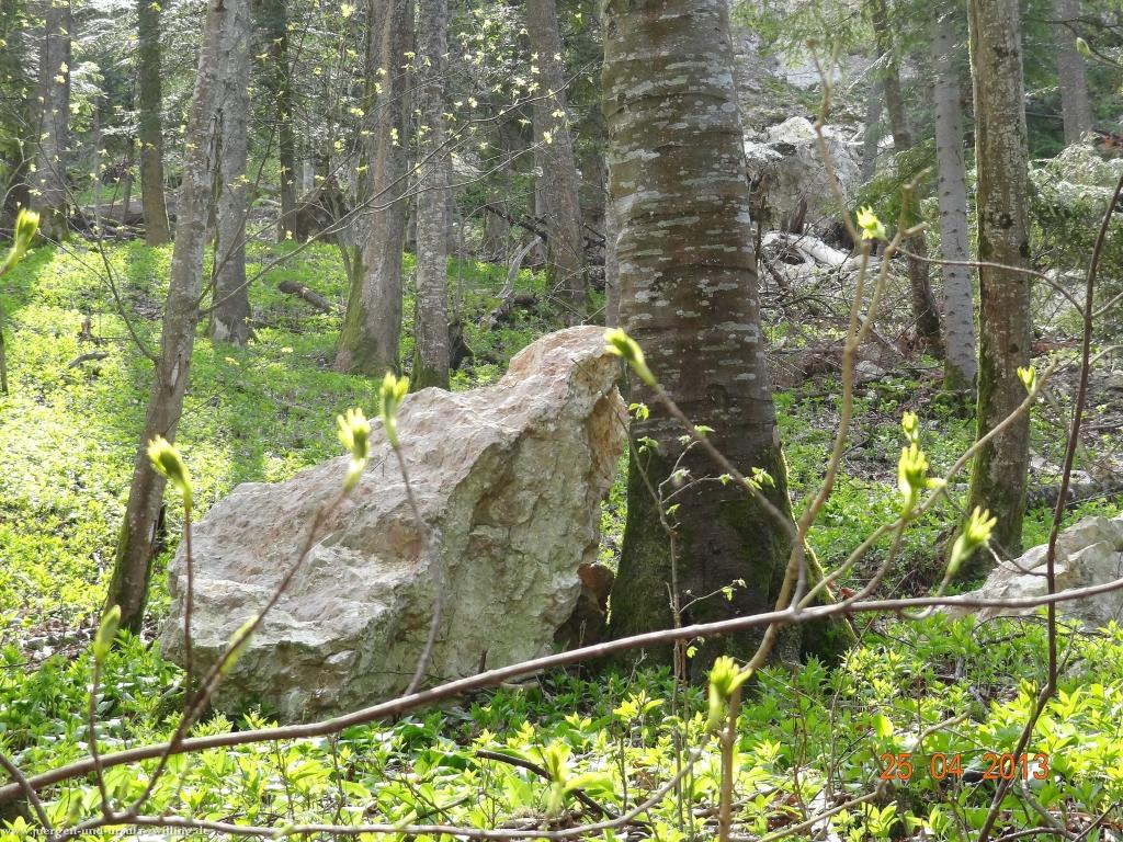 Philosophische Bildwanderung Traufgang-Felsenmeersteig