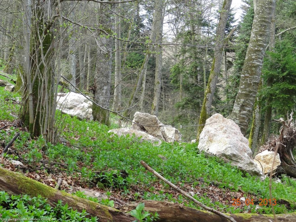 Philosophische Bildwanderung Traufgang-Felsenmeersteig