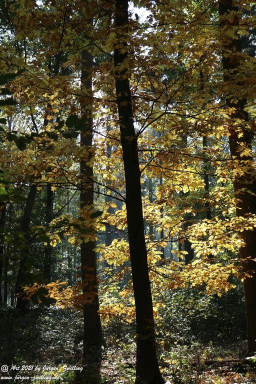 Philosophische Bildwanderung Hackenheim - Rheingrafenstein - Hackenheim - Rheinhessen - Nahe