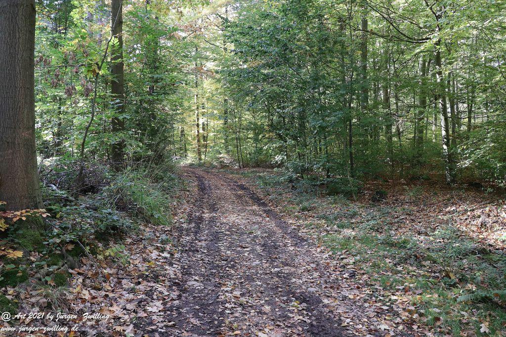 Philosophische Bildwanderung Hackenheim - Rheingrafenstein - Hackenheim - Rheinhessen - Nahe