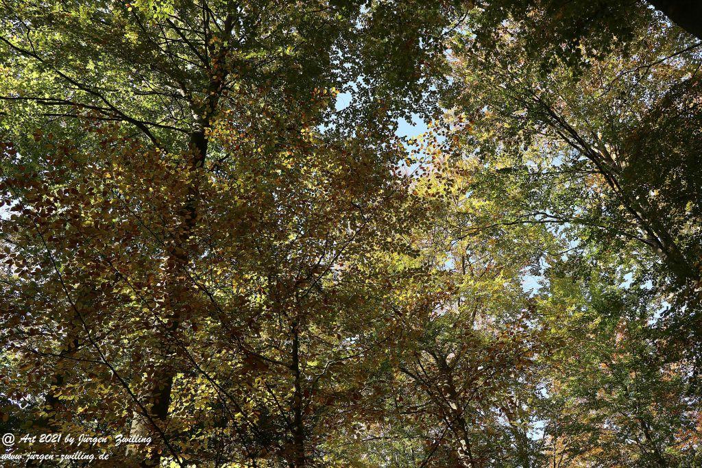 Philosophische Bildwanderung Hackenheim - Rheingrafenstein - Hackenheim - Rheinhessen - Nahe